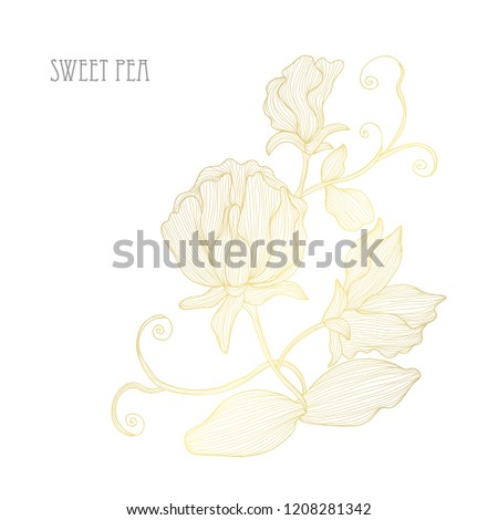 Decorative sweet pea flowers, design elements. Can be used for cards, invitations, banners, posters, print design. Golden flowers