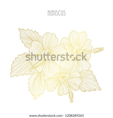 Decorative hibiscus flowers, design elements. Can be used for cards, invitations, banners, posters, print design. Golden flowers