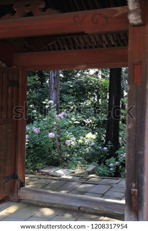 Hydrangea landscape of the temple of the Aichi Prefecture of Japan