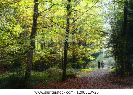 Old couple with dog walking in the woods