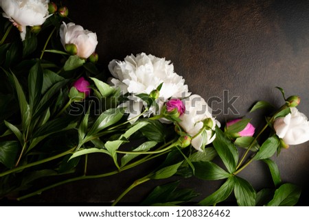 Bunch of White and pink pionies 