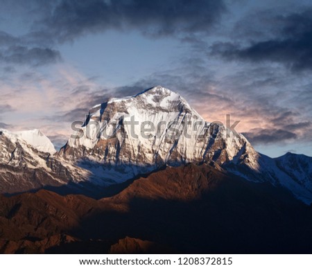 Panorama of mount Dhaulagiri at sunset - view from Poon Hill on Annapurna Circuit Trek in the Nepal Himalaya. Dhaulagiri I is the seventh highest mountain in the world at 8167 m above sea level Royalty-Free Stock Photo #1208372815
