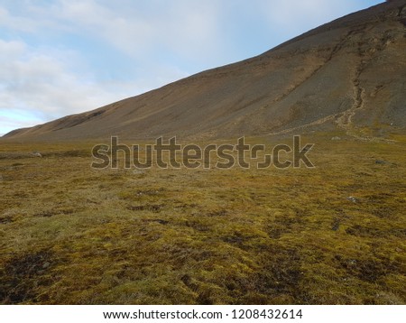 lush green mountain landscape on svalbard