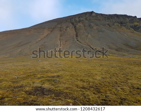 lush green mountain landscape on svalbard