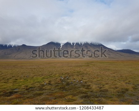majestic colorful mountain landscape on the svalbard island in late autumn