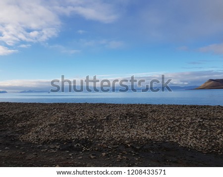 majestic ocean and mountain view on the svalbard island in late autumn