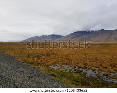 majestic colorful mountain landscape on the svalbard island in late autumn