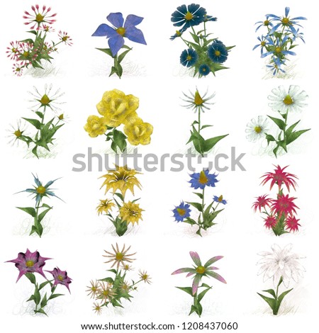 2d illustration. Decorative isolated flower image. Floral Illustration. Vintage botanic artwork. Hand made drawing. Single flower. Flower set.