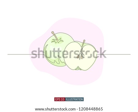 Continuous line drawing of apple. Template for your design. Vector illustration.
