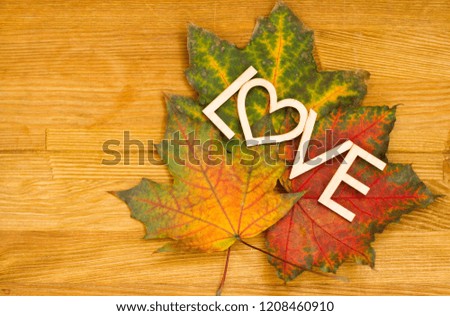 Wooden inscription LOVE on an autumn leaf on a wooden rural table. Shot from above.
