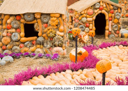 Two houses from pumpkins, a holiday Halloween. The road from pumpkins and flowers. Pumpkin decor