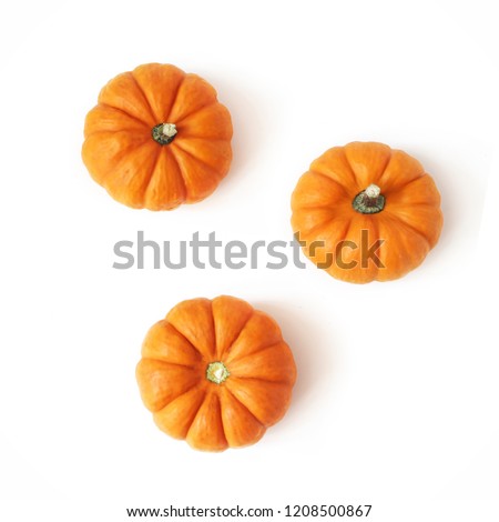 Autumn composition of little orange pumpkins isolated on white table background. Fall, Halloween and Thanksgiving concept. Styled stock flat lay photography. Top view, square. Vegetable design.