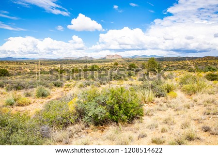 Beautiful countryside in Hidalgo County, New Mexico, USA Royalty-Free Stock Photo #1208514622