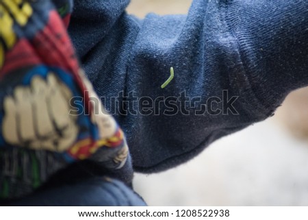 Inchworm on child's sleeve