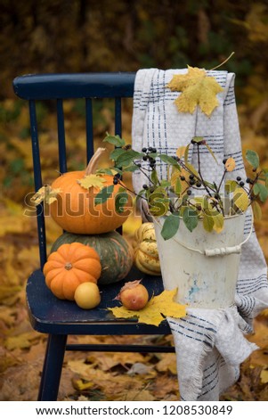 pumpkins and autumn leaves on a blue chair