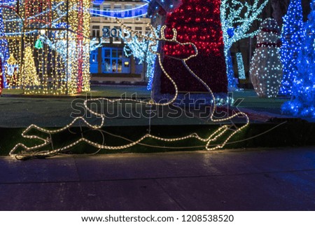 The christmas decoration - Santa Claus deer.