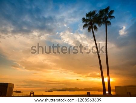 Mediterranean Sea. Cannes. Embankment, city beach. In the frame of two palm trees. Autumn time, France. Horizontal frame. Color image