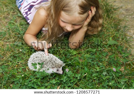 beautiful little girl with her pet African pygmy hedgehog