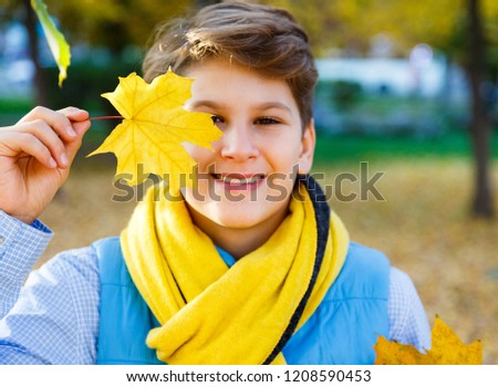 cute boy in blue shirt and scarf holds yelow maple leaf in hand on fallen leaves background. autumn mood beautiful day. Golden fall in still life. Bright Fall image.  focus on leaf