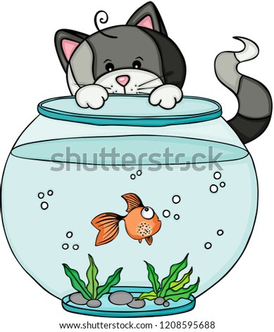Cat looking aquarium with fish

