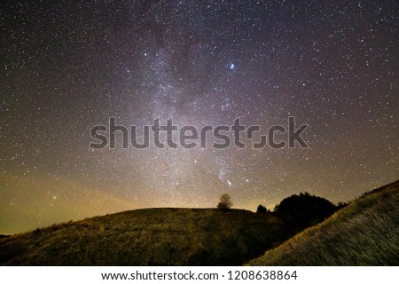 Dark green grassy hills, lonely tree and bushes at night under beautiful dark blue summer starry sky. Night photography, beauty of nature concept. Wide panorama, copy space background.