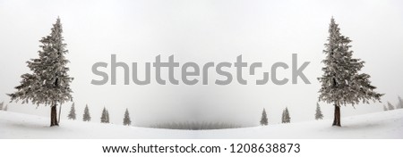 Black and white winter mountain New Year Christmas landscape. Isolated alone tall fir-tree covered with frost in deep clear snow on copy space background of white sky and black forest on horizon.