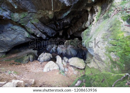 Honeycomb Caves Mole Creek Tasmania Australia