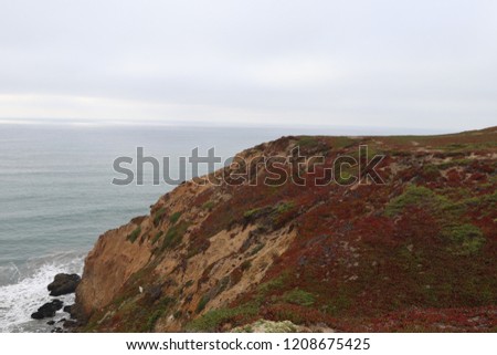 Cliff at Mussel rock, USA. Sea overlook and nature