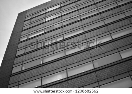 Black and white Japanese building facade