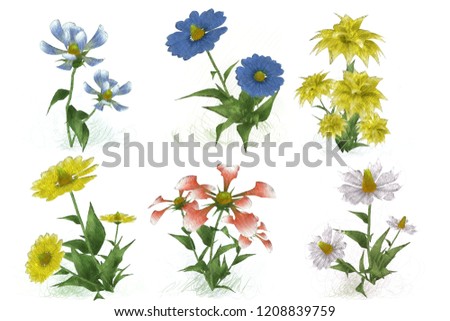 2d illustration. Decorative isolated flower image. Floral Illustration. Vintage botanic artwork. Hand made drawing. Flower set.