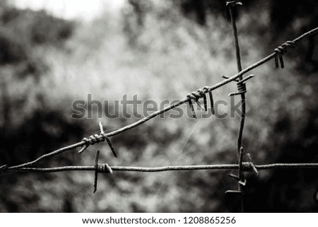 barbed wire ,black and white