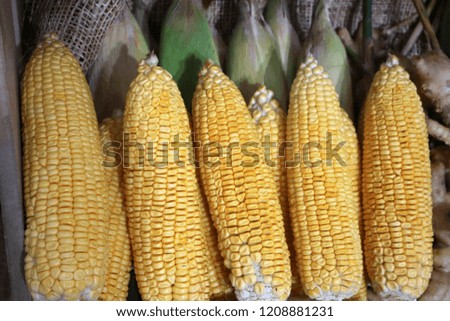 Picture of Corn Thailand