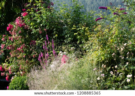 Color outdoor nature image of an idyllic  garden with flowers,roses,anemones and lawn, a forest on a hill in the background on a sunny summer day 