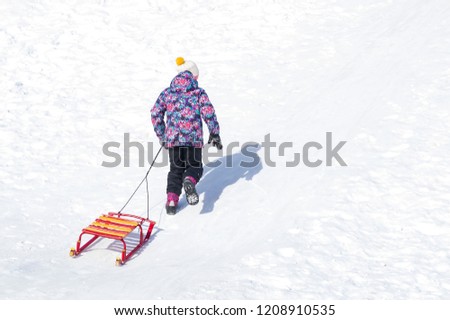 Girl walking up the hill on snow and pulling up her sleds. Active leisure outdoors in winter
