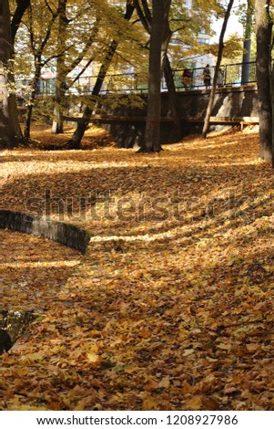 Autumn background. end of October. Fallen leaves.