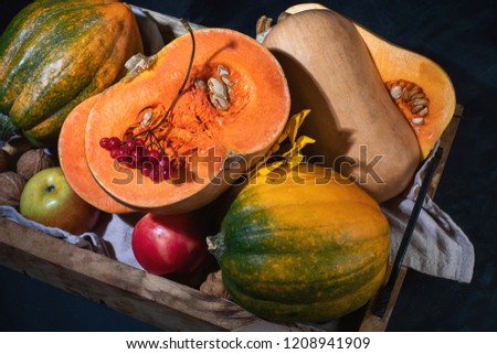 Pumpkins on a dark background. Autumn seasonal food still life