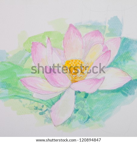 lotus water color