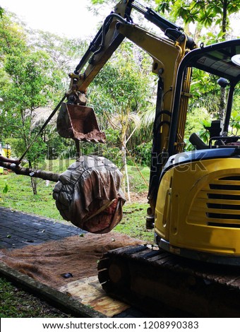 In area where there is no traffic road access, relocating a tree can be a difficult task. Rope is tied on the trunk to suspend it while the other end of rope is tied to the H-Link of a mini excavator.