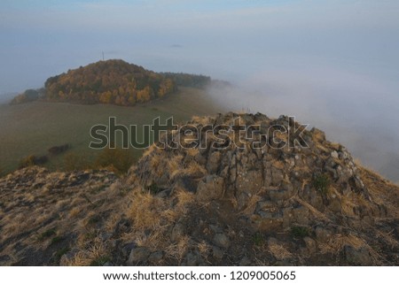 Autumn morning nature. Fall mist. Enchanted foggy forest in fog, trees in colorful clouds