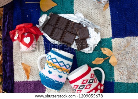 autumn picnic with pleid, warm tea at cups. chocolate and cookies