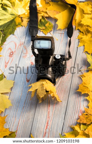 autumn yellow foliage. wooden background in retro style. camera, lens in the foliage. close-up.