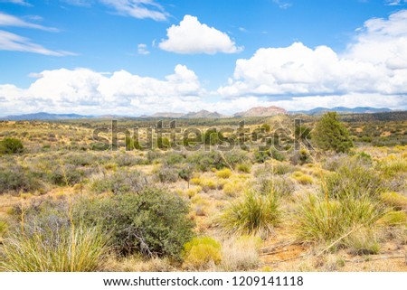 Scenic landscape in Hidalgo County, New Mexico, USA Royalty-Free Stock Photo #1209141118