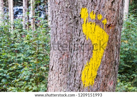 A Yellow footprint signs on a tree in the forest for pedestrian. Symbol of walkway.