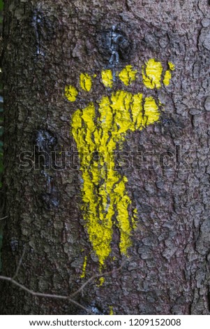 A Yellow footprint signs on a tree in the forest for pedestrian. Symbol of walkway.