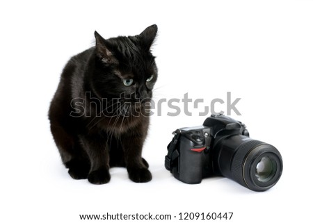 Black cat with professional reflex camera isolated on white background. Black cat is photographer with DSLR camera