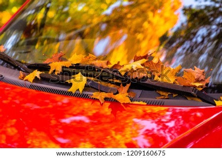 red car standing with maple autumn leaves on the window Royalty-Free Stock Photo #1209160675