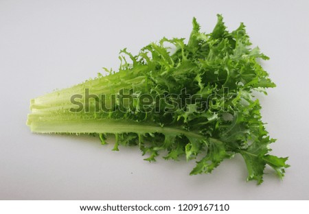 Chicory  Green vegetables for health