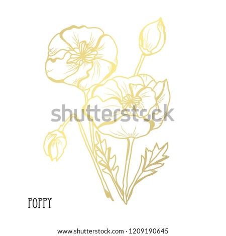 Decorative poppy  flowers, design elements. Can be used for cards, invitations, banners, posters, print design. Golden flowers