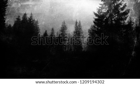 Dark scary forest wallaper, horror nature background