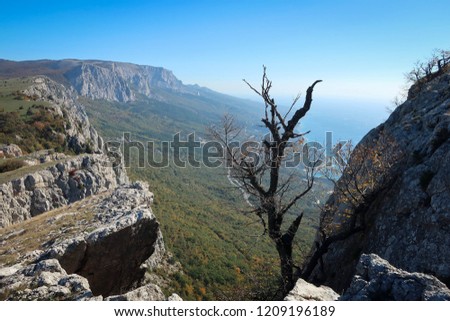 Scenic view of cliffs of South Coast of Crimea near Yalta. Stone rocks over Black Sea panorama